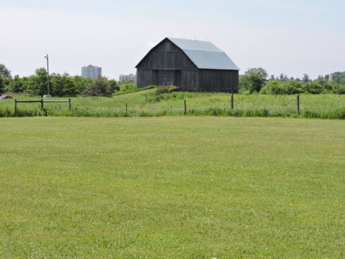 Public Meeting: Britannia Farm